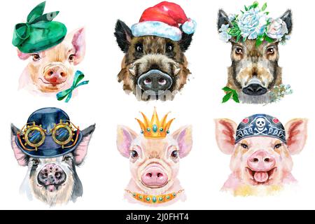 Illustration aquarelle de cochons dans une couronne de pivoines, chapeau de père Noël, couronne dorée, bandana et bowling avec lunettes de steampunk Banque D'Images