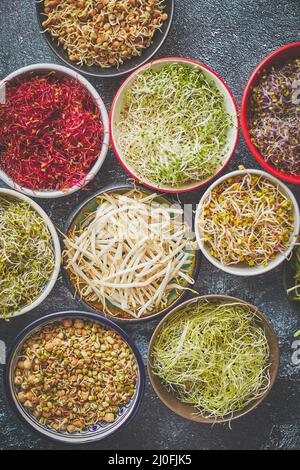 Vue de dessus de divers types de microgreens pousses dans des bols colorés. Pousses de radis, chou, ail Banque D'Images