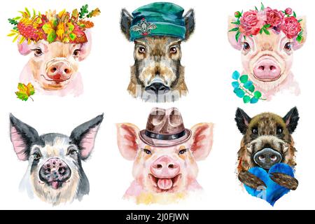 Illustration aquarelle de cochons dans une couronne de feuilles d'automne, une couronne de péonies, un bonnet brun, avec coeur bleu Banque D'Images