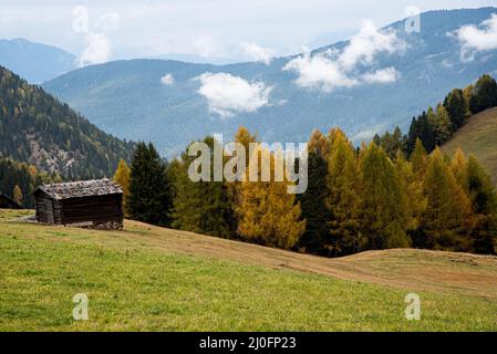 Beaux chalets en bois de montagne vallée de l'Alpe di Siusi sur les Dolomites, Tyrol du Sud en Italie Banque D'Images