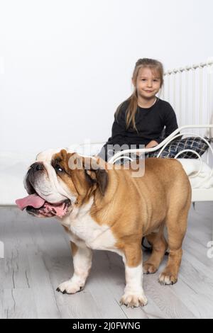 Un bouledogue anglais est debout près du lit et sa petite fille bien-aimée est assise sur le lit pour jouer avec. Une petite fille et elle Banque D'Images