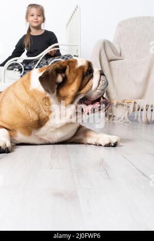 Le Bulldog anglais est gardé par son fidèle défenseur par le lit de la petite fille. La fille et son animal de compagnie à quatre pattes. Banque D'Images