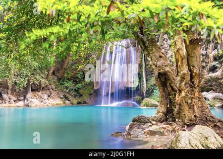 Cascade dans une forêt tropicale avec arbre vert et lac émeraude, Erawan, Thaïlande Banque D'Images