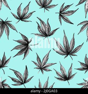 Motif de cannabis sans couture sur fond bleu. Chanvre noir et blanc feuilles Banque D'Images