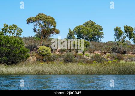 Le réservoir de Miramar dans la communauté de Scripps Miramar Ranch, San Diego, Californie. Banque D'Images