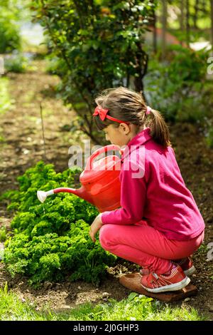 Petite fille d'arroser les plantes dans le jardin Banque D'Images