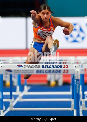 Belgrade, Serbie. 19th mars 2022. Zoe Sedney des pays-Bas en compétition dans les 60m haies des femmes autour de 1 chaleur pendant les Championnats du monde d'athlétisme en intérieur à l'arène de Belgrade le 19 mars 2022 à Belgrade, Serbie (photo par Nikola Krstic/Orange Pictures) Atletiekunie crédit: Orange pics BV/Alay Live News Banque D'Images