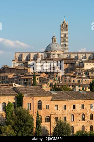 Ville médiévale de Sienne et cathédrale Duomo di siena, Toscane, italie Banque D'Images