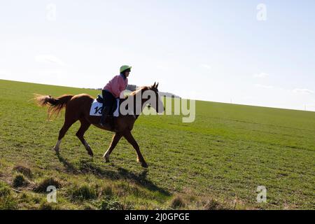 2022 Kiplingcotes Horse Race Banque D'Images