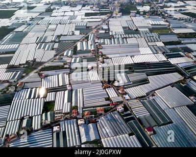 Vue aérienne de drone à angle élevé des champs de serre de plantation de greens à Demre - province d'Antalya en Turquie Banque D'Images