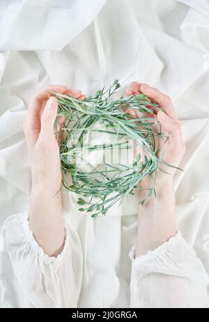 F.emale mains avec un tas de branches sur fond blanc en forme de nid, vue de dessus avec espace de copie. Printemps esthétique florale, Journée internationale de la femme, Fête des mères, bien-être ou thème de concept de cosmétiques Banque D'Images