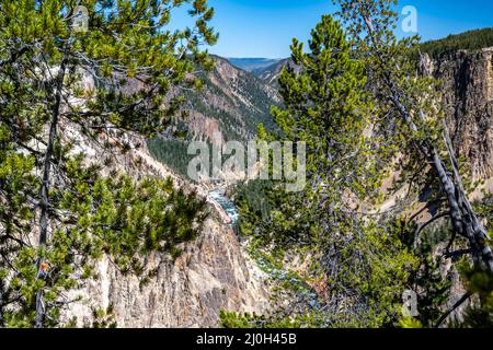 Le célèbre Grand Canyon de la Yellowstone dans le Wyoming Banque D'Images