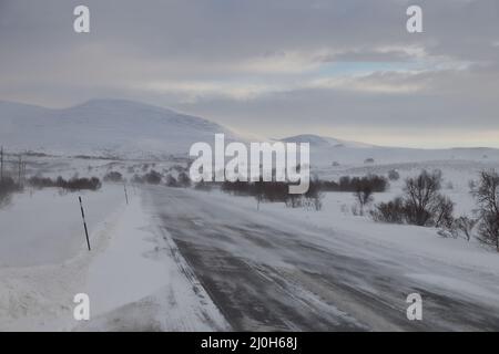 Hiver dans le parc national de Dovrefjell , Norvège Banque D'Images