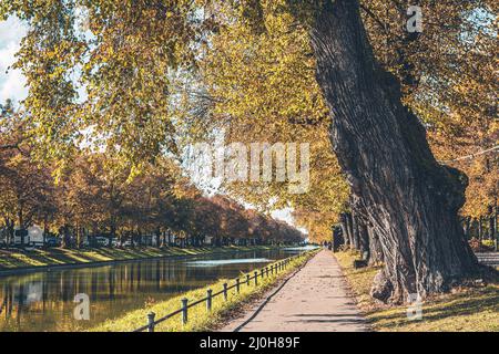 Magnifique scène automnale d'un chemin, d'une rivière et d'arbres colorés à Munich Banque D'Images