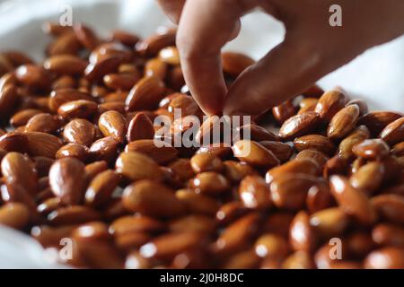 Amandes confites. Amandes grillées enrobées de sirop de caramel. À l'intérieur de la plaque de cuisson Banque D'Images