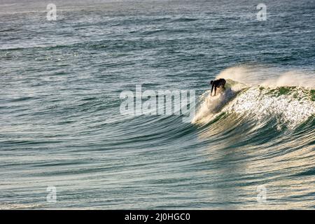 Surfez sur la plage d'Ipanema, Rio de Janeiro à l'aube Banque D'Images