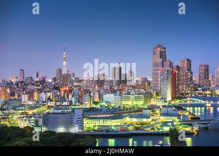 Tokyo, Japon, vue sur la rivière Sumida à l'heure bleue. Banque D'Images