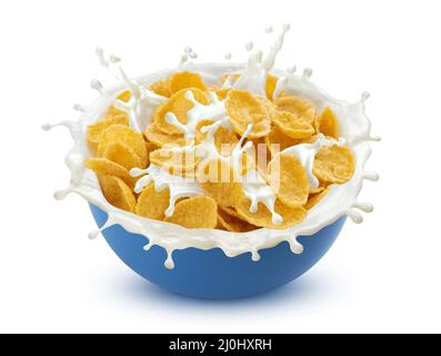 Flocons de maïs avec éclaboussures de lait isolées sur fond blanc Banque D'Images