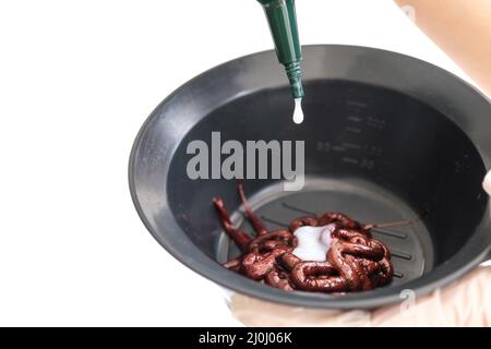 Mains gantées préparant du colorant biologique pour les cheveux à la maison. Espace de copie vierge pour les textes. Gros plan sur la fabrication de colorant biologique pour les cheveux pour les hommes, les hommes, les femmes et les femmes. Banque D'Images