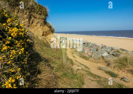 Californie Norfolk, Royaume-Uni Banque D'Images