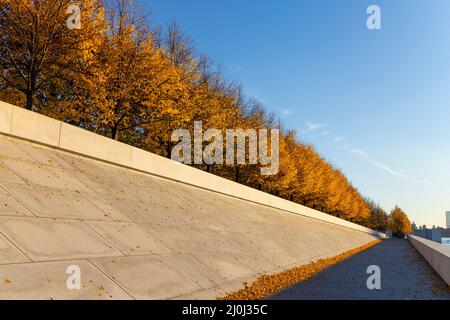 La lumière du soleil d'automne illumine les rangées d'arbres de couleur de feuilles automnales dans le Franklin D. Roosevelt four libertés Park à Roosevelt Island sur l'East River on Banque D'Images