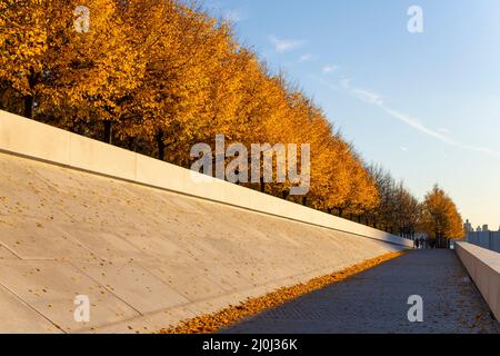 La lumière du soleil d'automne illumine les rangées d'arbres de couleur de feuilles automnales dans le Franklin D. Roosevelt four libertés Park à Roosevelt Island sur l'East River on Banque D'Images