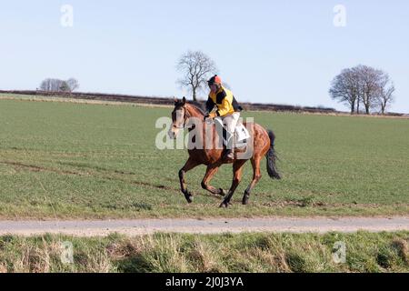 2022 Kiplingcotes Derby Banque D'Images