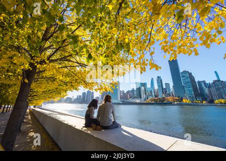 Les arbres de couleur feuille d'automne brillent sur Roosevelt Island à New York. Banque D'Images