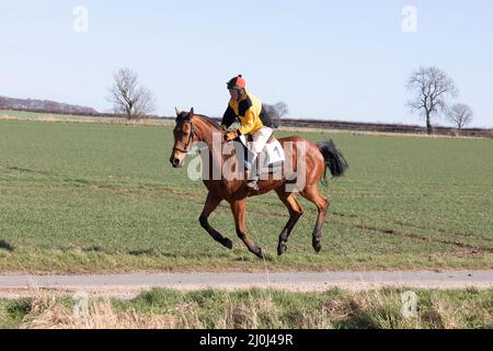 2022 Kiplingcotes Derby Banque D'Images