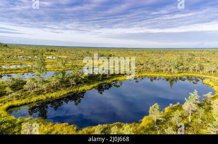 Vue en grand angle des lacs et des lagons dans un paysage de tourbières et de marais surélevés Banque D'Images