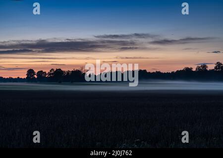 Magnifique coucher de soleil et nuit tombée sur les champs de ferme et la forêt avec un peu de brouillard rampant Banque D'Images