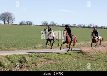 2022 Kiplingcotes Derby Banque D'Images