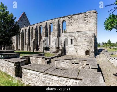 Vue sur les ruines du couvent de Saint Brigitta à Pirita, près de Tallinn Banque D'Images