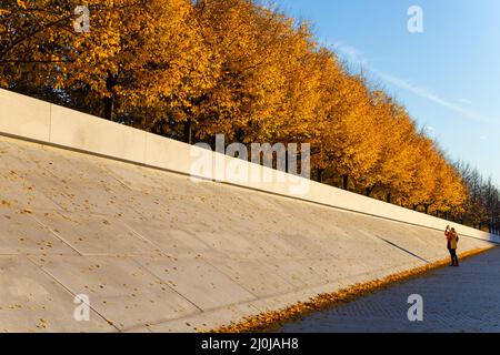 La lumière du soleil d'automne illumine les rangées d'arbres de couleur de feuilles automnales dans le Franklin D. Roosevelt four libertés Park à Roosevelt Island sur l'East River on Banque D'Images