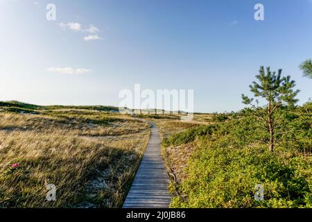 L'accès à la plage par une promenade en bois mène à travers les dunes de sable et les arbustes jusqu'au coucher du soleil sur la plage Banque D'Images