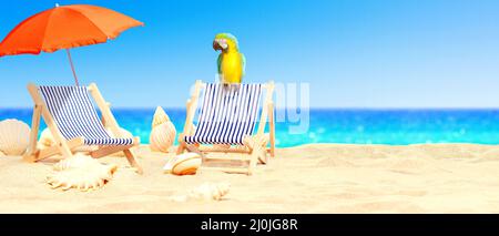 Parrot sur la plage tropicale au soleil sur les transats sous le parasol. Banque D'Images