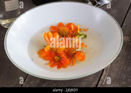 Feuille de tournesol à l'intérieur d'une assiette à rio de janeiro, Brésil. Banque D'Images