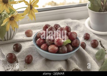 Prunes rouges mûres dans une plaque en céramique bleue Banque D'Images