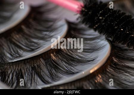 Photo de gros plan avec cils artificiels dans une boîte avec pinceau. Accessoires de maquillage. Cosmétiques. Faux cils. Banque D'Images