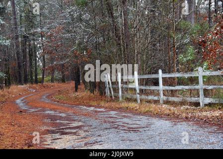 Les courbes de la voie de gravier autour de la clôture en bois et des arbres. La paille de pin couvre presque la voie. La clôture est blanche et abîmé avec l'âge. Banque D'Images