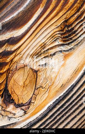 Macro-détail d'un nœud dans une bande de parement de cèdre abîmé à la cour du navire Britannia à Steveston Colombie-Britannique Canada Banque D'Images