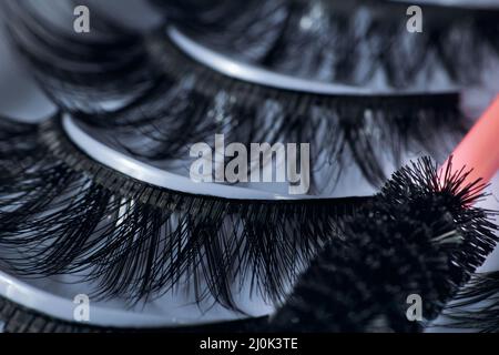 Photo de motif macro avec cils artificiels dans une boîte avec pinceau. Accessoires de maquillage. Cosmétiques. Faux cils. Banque D'Images