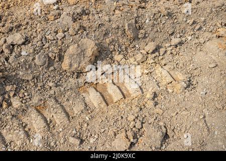 Traces de roues sur la terre Banque D'Images