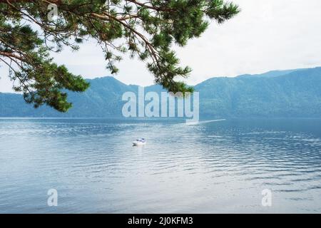 Le lac Teletskoye en montagnes de l'Altaï Banque D'Images