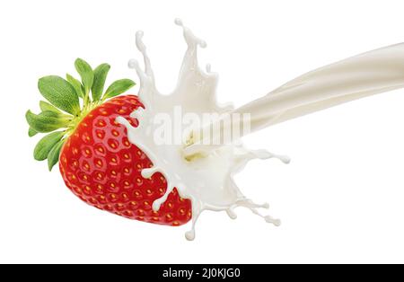 Fraise avec lait éclaboussant isolée sur fond blanc Banque D'Images