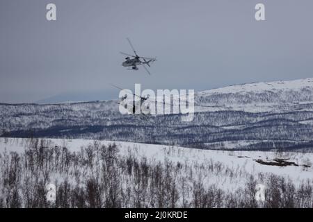 Le colonel Eirik Stueland de la Royal Norwegian Air Force passe dans un VENIN UH-1Y tout en effectuant des manœuvres aériennes pendant l'exercice Cold Response 2022, Setermoen, Norvège, 17 mars 2022. Stueland est le commandant de l'escadre des hélicoptères maritimes et le UH-1Y Venom est affecté à l'escadron des hélicoptères d'attaque de lumière marine 269. L'exercice Cold Response '22 est un exercice biennal de préparation nationale et de défense norvégien qui a lieu dans toute la Norvège, avec la participation de chacun de ses services militaires, ainsi que de 26 autres nations alliées de l'Organisation du Traité de l'Atlantique Nord et partenaires régionaux Banque D'Images