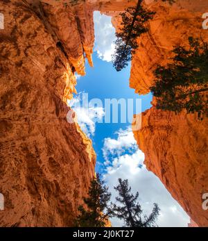 Parc national de Bryce Canyon vue sur le ciel sur la piste peekaboo. Des formations rocheuses d'orange appelées Hoodoos tout autour. Grands rochers Banque D'Images