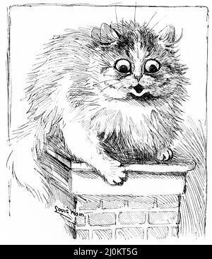 Illustration d'un gros chat truffé assis sur un mur de briques, vers 1890 Banque D'Images