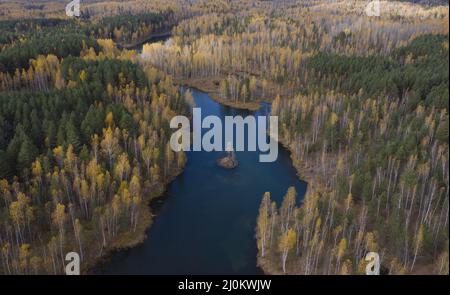 Vue aérienne des petits lacs entourés par la forêt d'automne. Banque D'Images