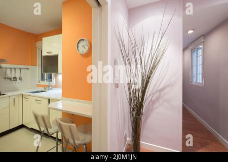 Hall d'entrée d'une maison avec couloirs lavande et entrée d'une cuisine avec armoires blanches et murs orange Banque D'Images